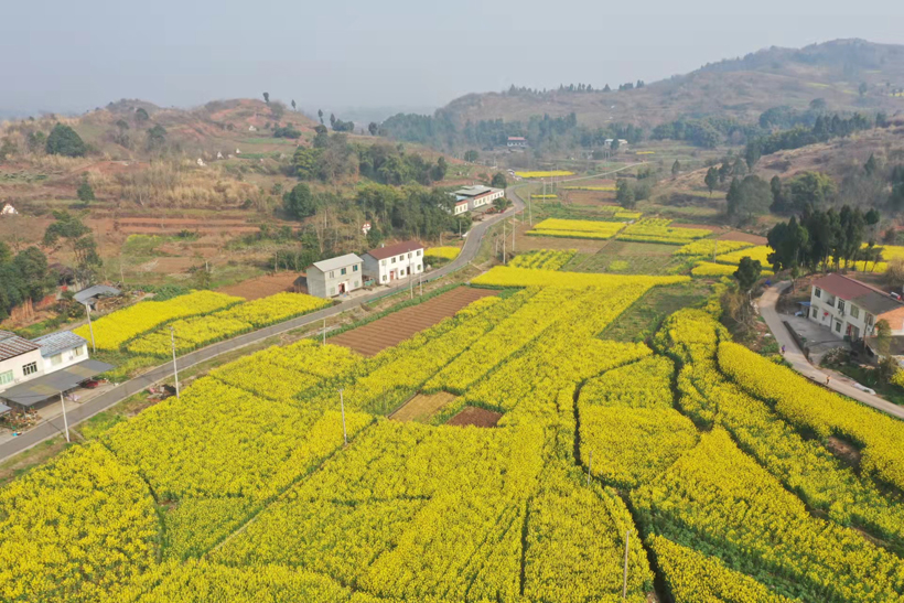 727e9a8cae8be13f1a0855c55ac3db1.jpg 727e9a8cae8be13f1a0855c55ac3db1.jpg