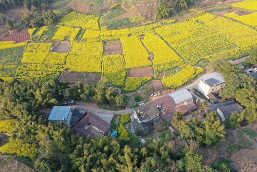 c273d8ba16a51d06749a7549aca7f3b.jpg c273d8ba16a51d06749a7549aca7f3b.jpg